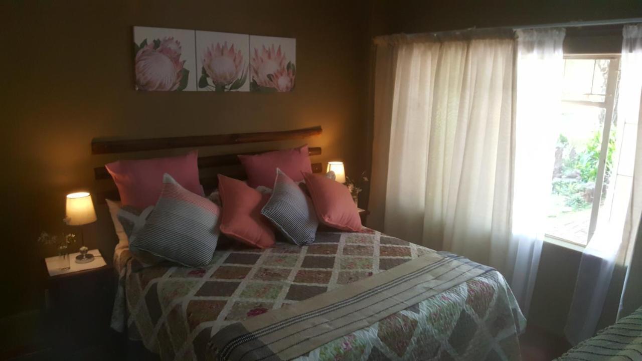 Dublin Guest House サビー エクステリア 写真