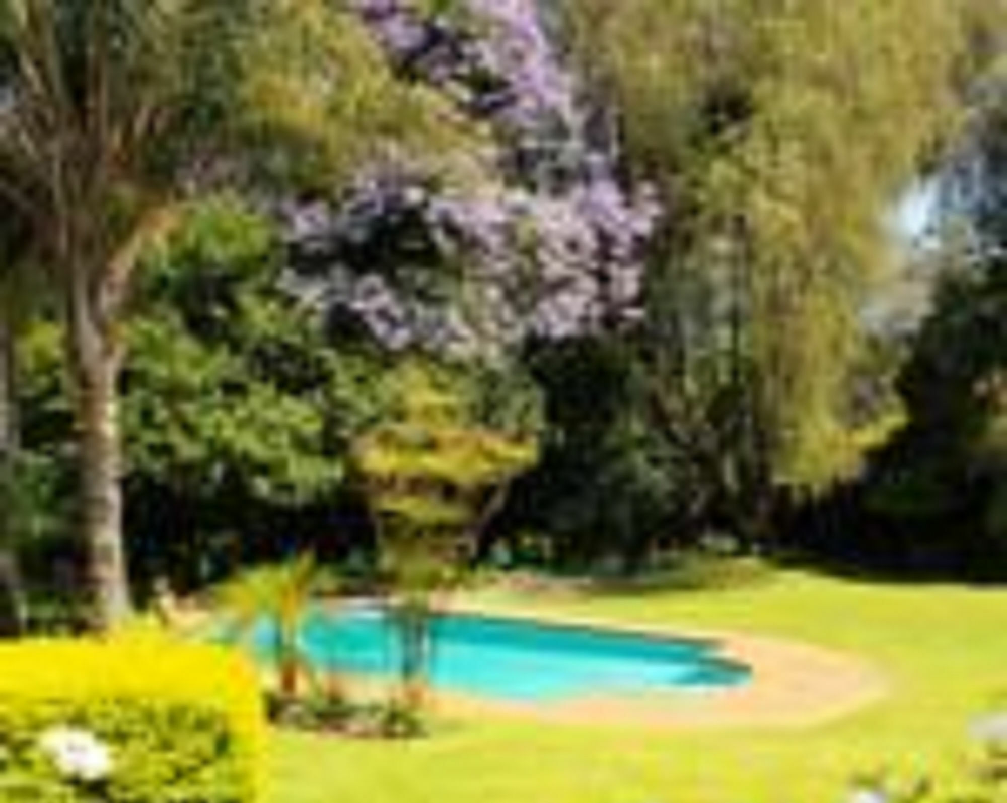Dublin Guest House サビー エクステリア 写真