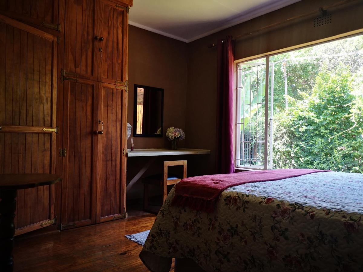 Dublin Guest House サビー エクステリア 写真